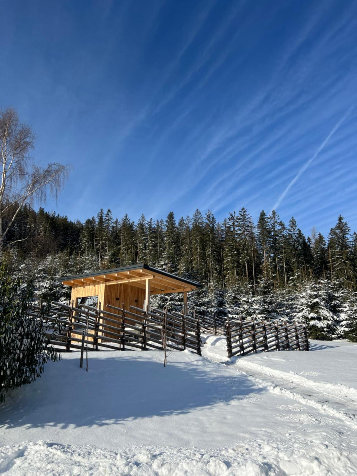 Waldheimatblick Sankt Kathrein am Hauenstein Exterior foto